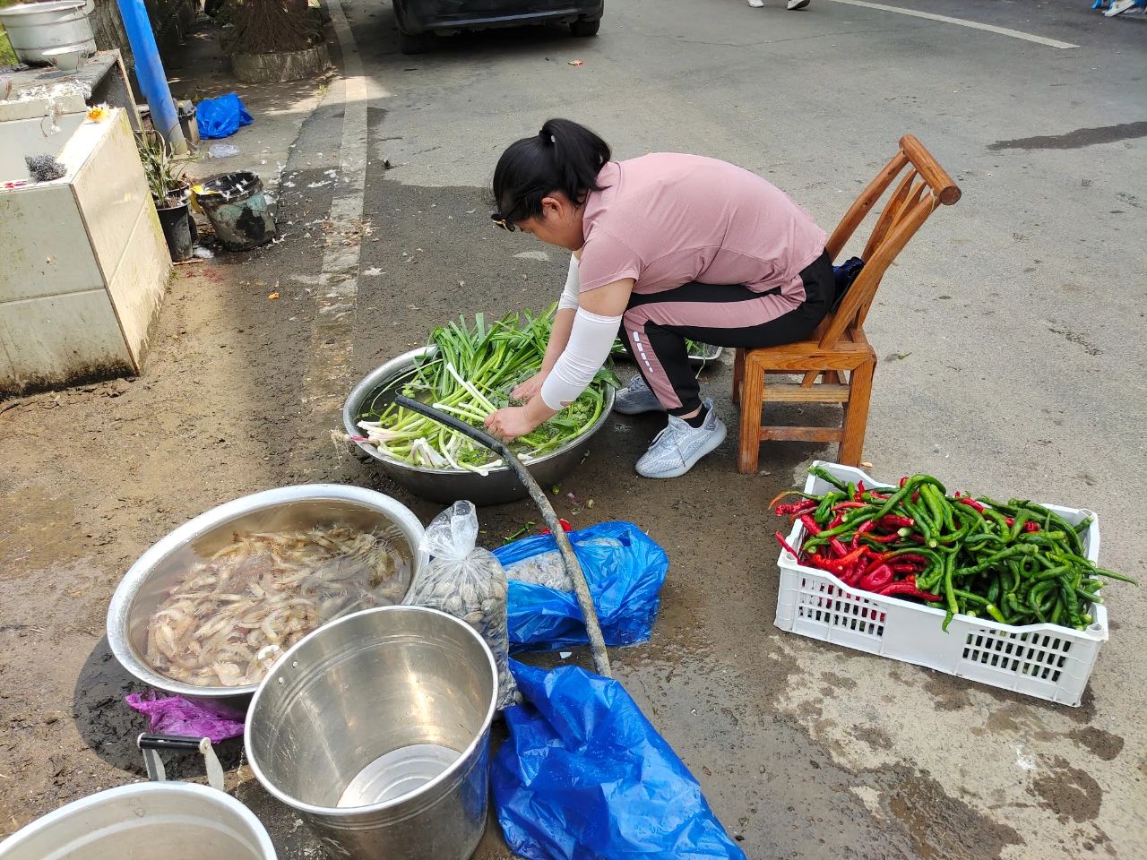 三十码期期期必中